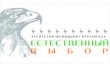 Естественный выбор
